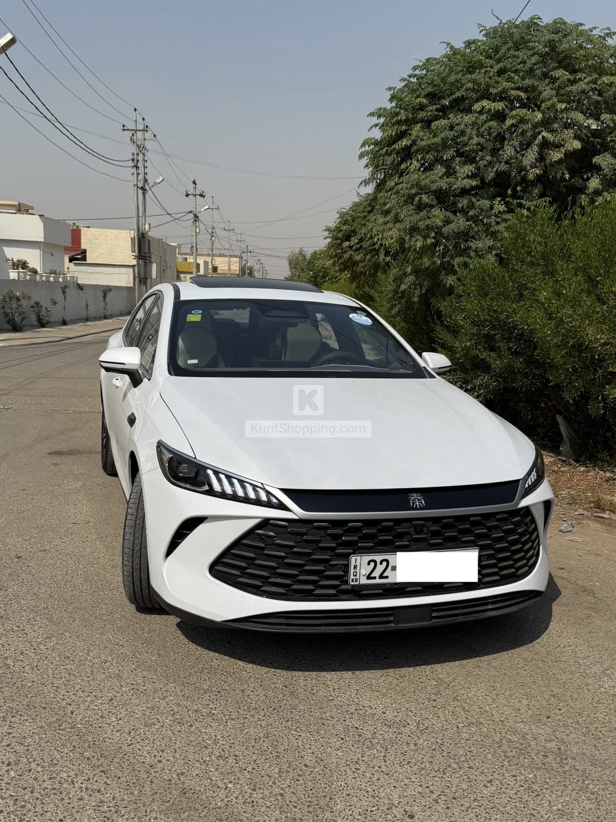 BYD QIN PLUS 2025