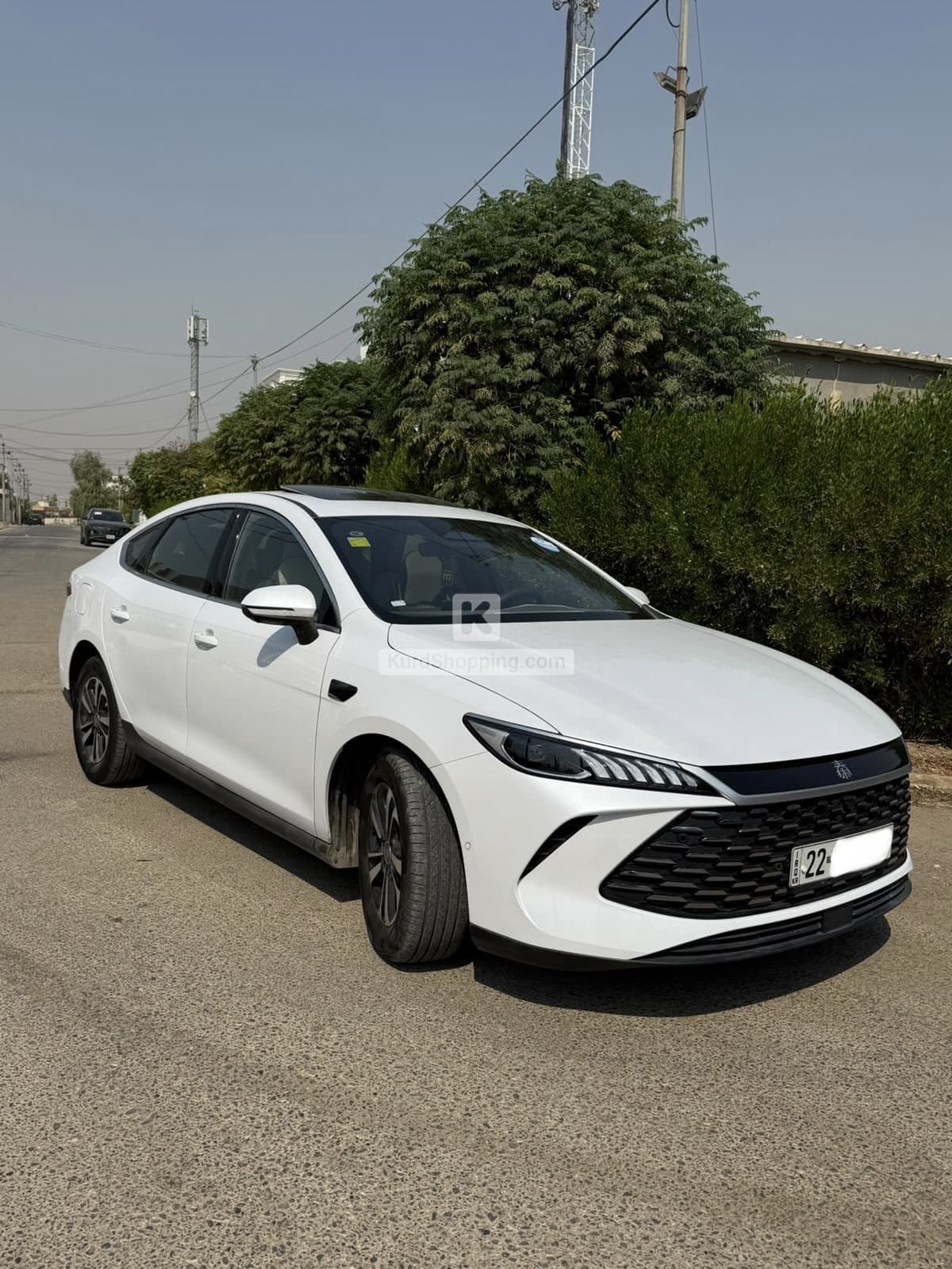 BYD QIN PLUS 2025 - Preview 2